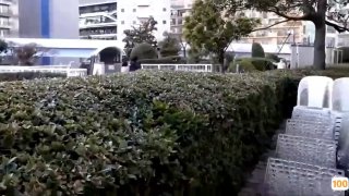 男性hpv真实图片|日韩精品一区二区3区|亚洲无线码在线免费观看